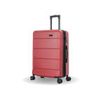 InUSA Elysian 24-Inch Hardside Spinner Checked Luggage