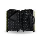 InUSA Aurum Carry-On Hardside Spinner Suitcase