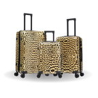 InUSA Prints 3-Piece Hardside Spinner Luggage Set