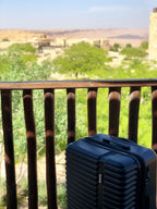 InUSA Ally 20" Hardside Carry-On Spinner Luggage