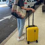 InUSA Ally 20" Hardside Carry-On Spinner Luggage