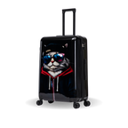 InUSA Prints 28-Inch Hardside Checked Suitcase
