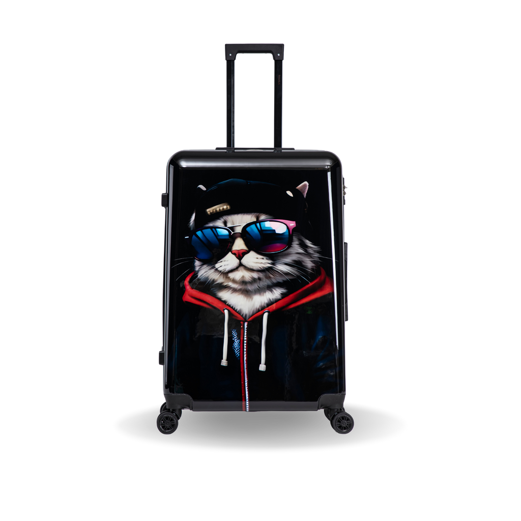 InUSA Prints 28-Inch Hardside Checked Suitcase