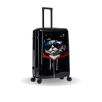 InUSA Prints 28-Inch Hardside Checked Suitcase