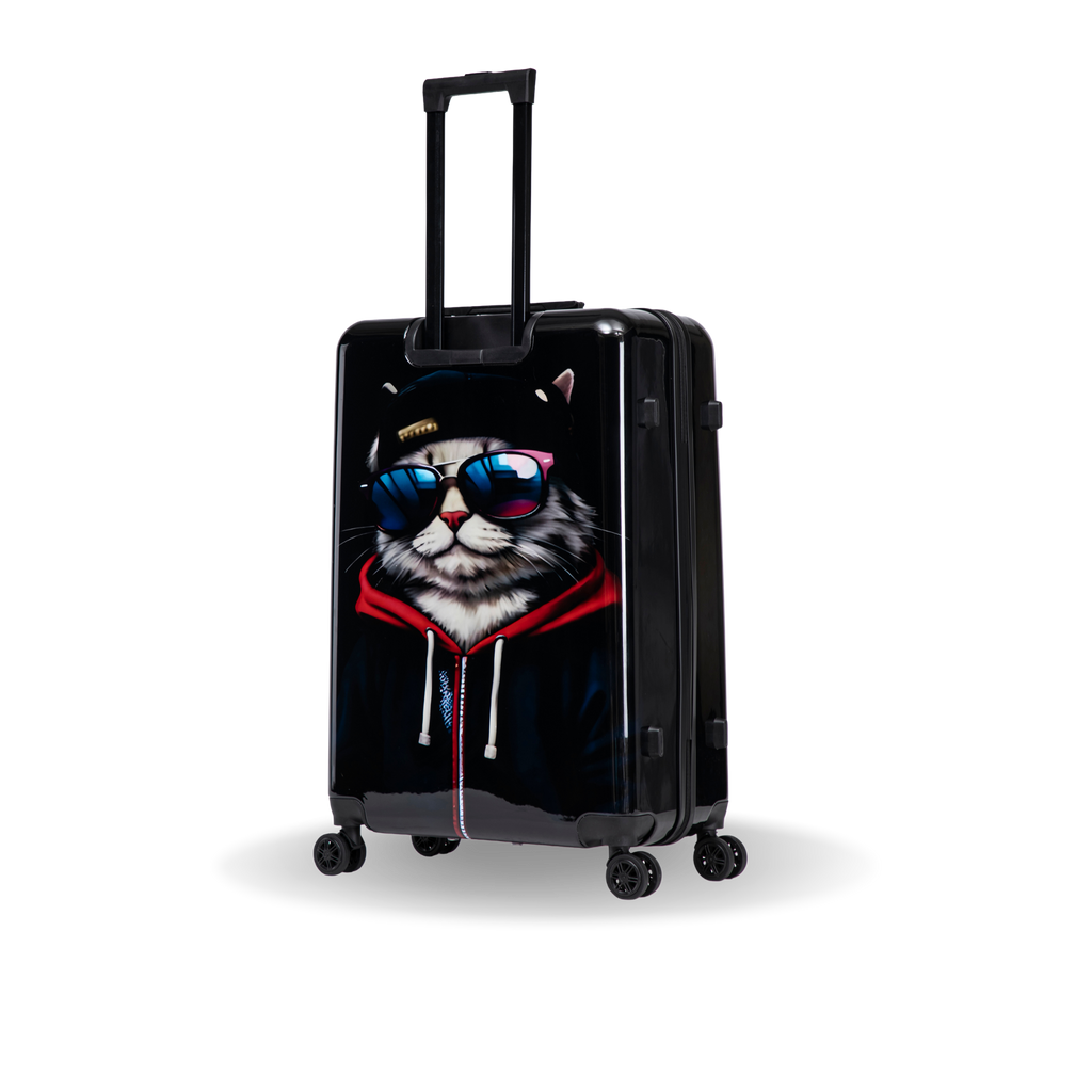 InUSA Prints 28-Inch Hardside Checked Suitcase