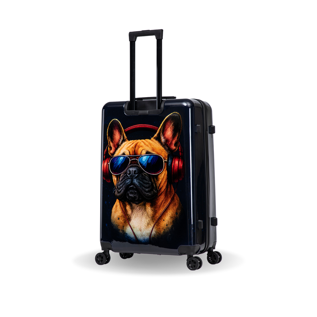 InUSA Prints 28-Inch Hardside Checked Suitcase