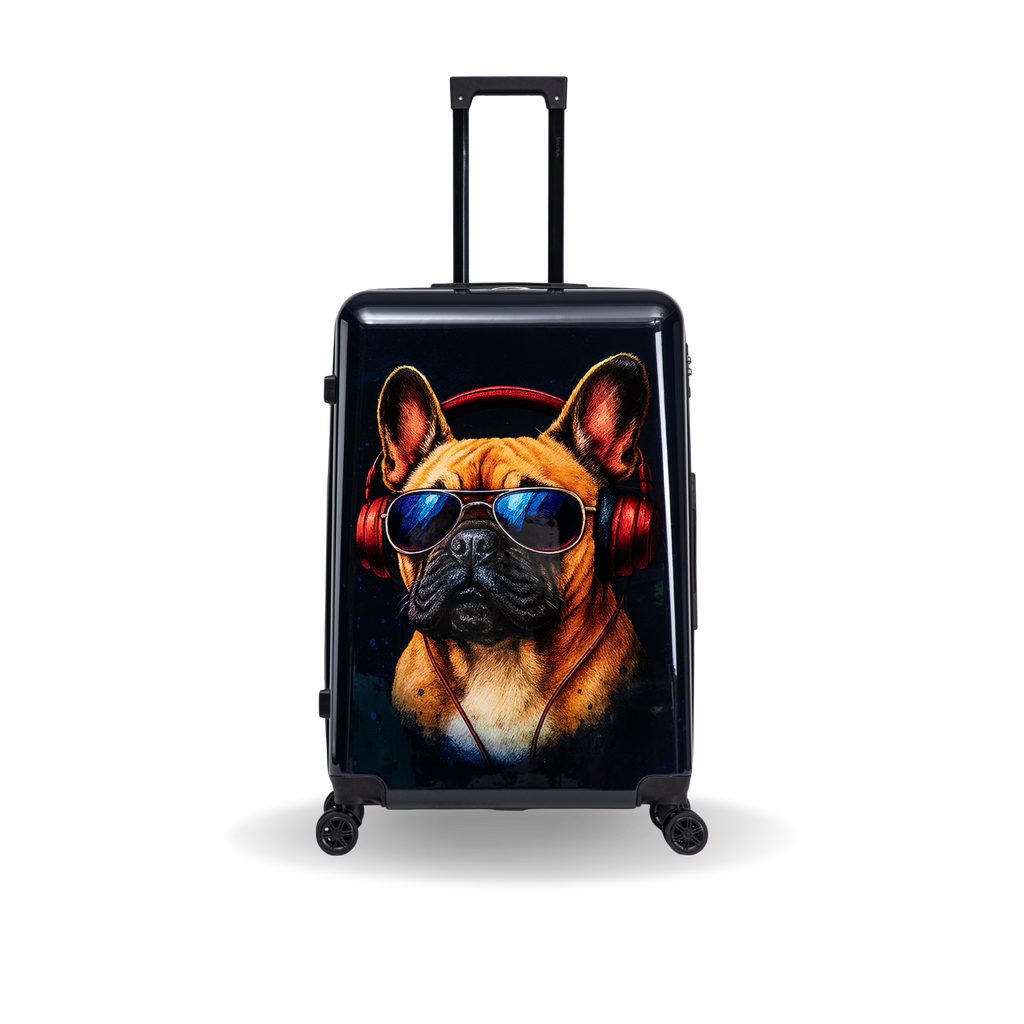 InUSA Prints 28-Inch Hardside Checked Suitcase