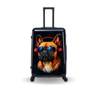 InUSA Prints 28-Inch Hardside Checked Suitcase