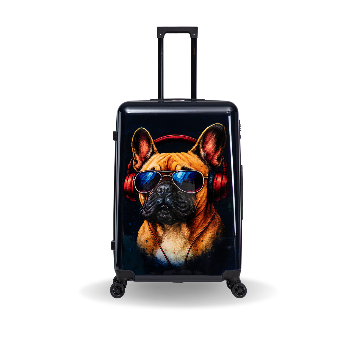 InUSA Prints 28-Inch Hardside Checked Suitcase
