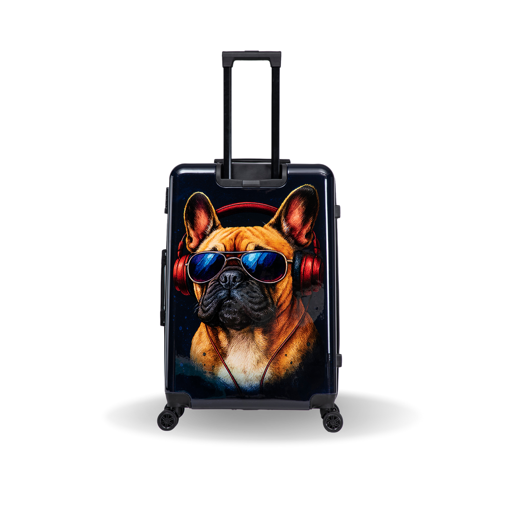 InUSA Prints 28-Inch Hardside Checked Suitcase