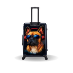 InUSA Prints 28-Inch Hardside Checked Suitcase
