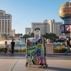 InUSA Prints 28-Inch Hardside Checked Suitcase