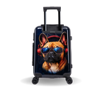 InUSA Prints Carry-On Hardside Spinner Luggage