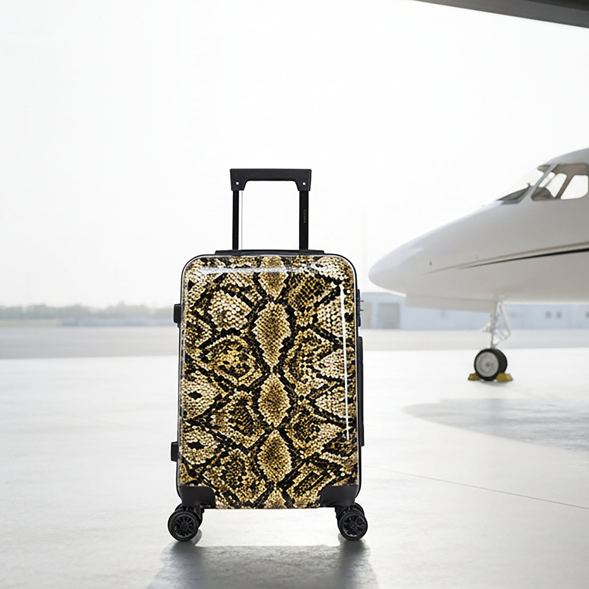 InUSA Prints Carry-On Hardside Spinner Luggage