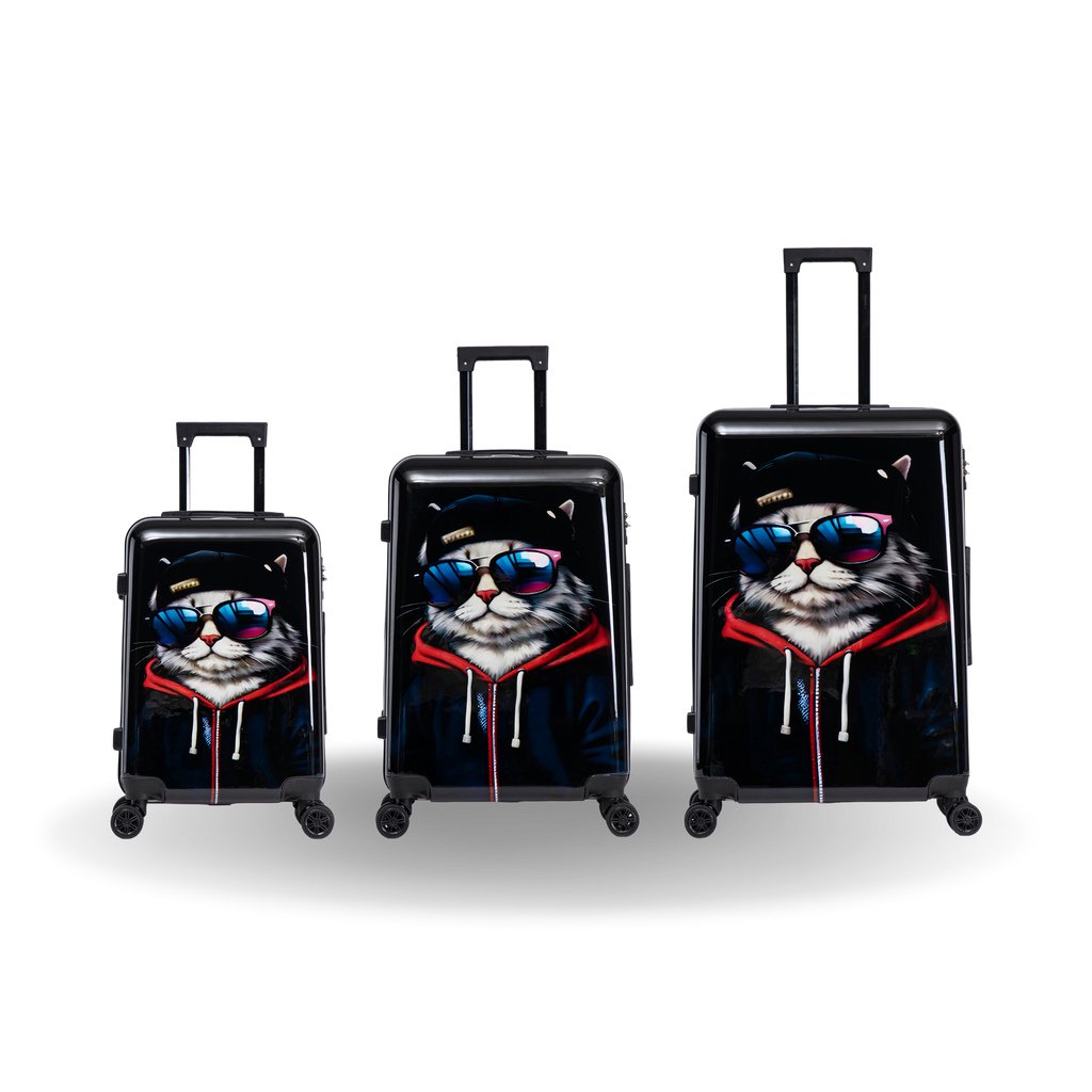 InUSA Prints 3-Piece Hardside Spinner Luggage Set