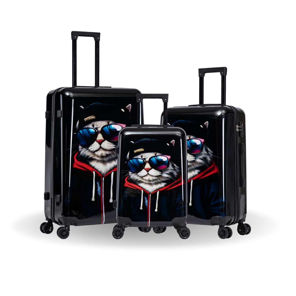 InUSA Prints 3-Piece Hardside Spinner Luggage Set