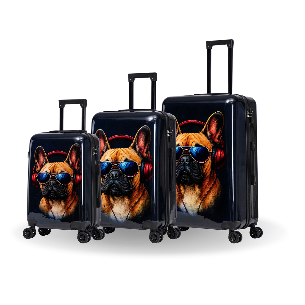 InUSA Prints 3-Piece Hardside Spinner Luggage Set