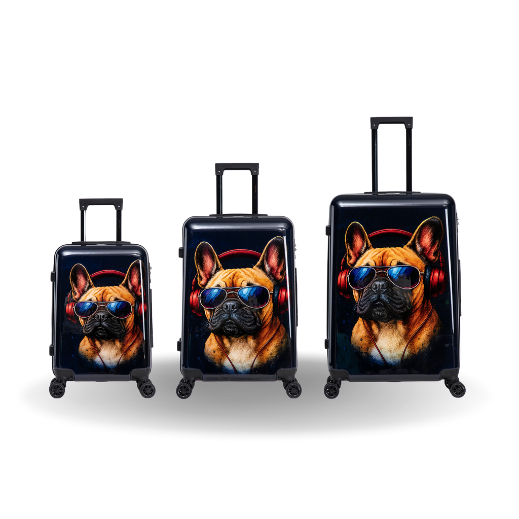 InUSA Prints 3-Piece Hardside Spinner Luggage Set