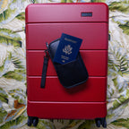 InUSA Elysian 28" Hardside Checked Suitcase