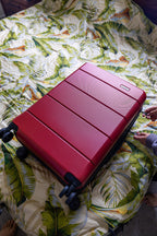 InUSA Elysian 24-Inch Hardside Spinner Checked Luggage