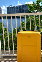 InUSA Pilot 24" Hardside Spinner Checked Luggage